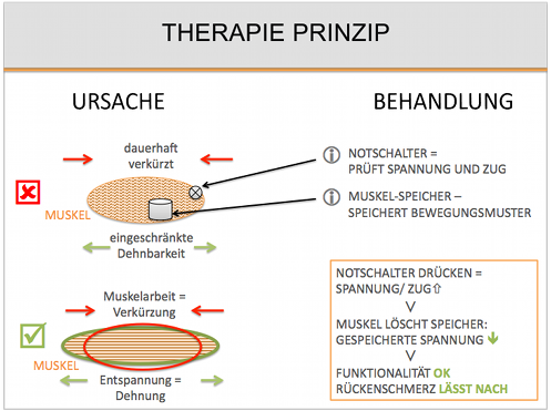 therapy_principle_d